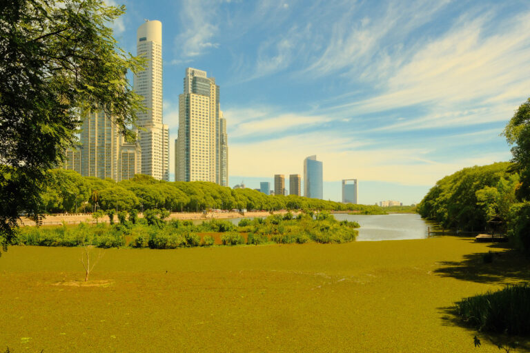 Buenos Aires – the city of meat and hummingbirds.