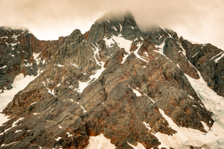 Afterimages of water, whales, and seal feces